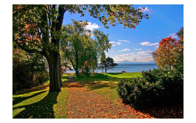 Burlington Cultural Mapping